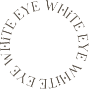 Whiteeye-circle